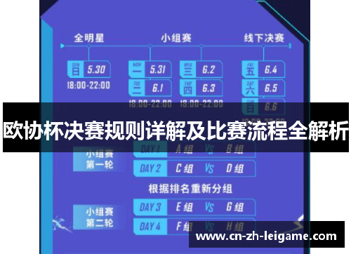 欧协杯决赛规则详解及比赛流程全解析